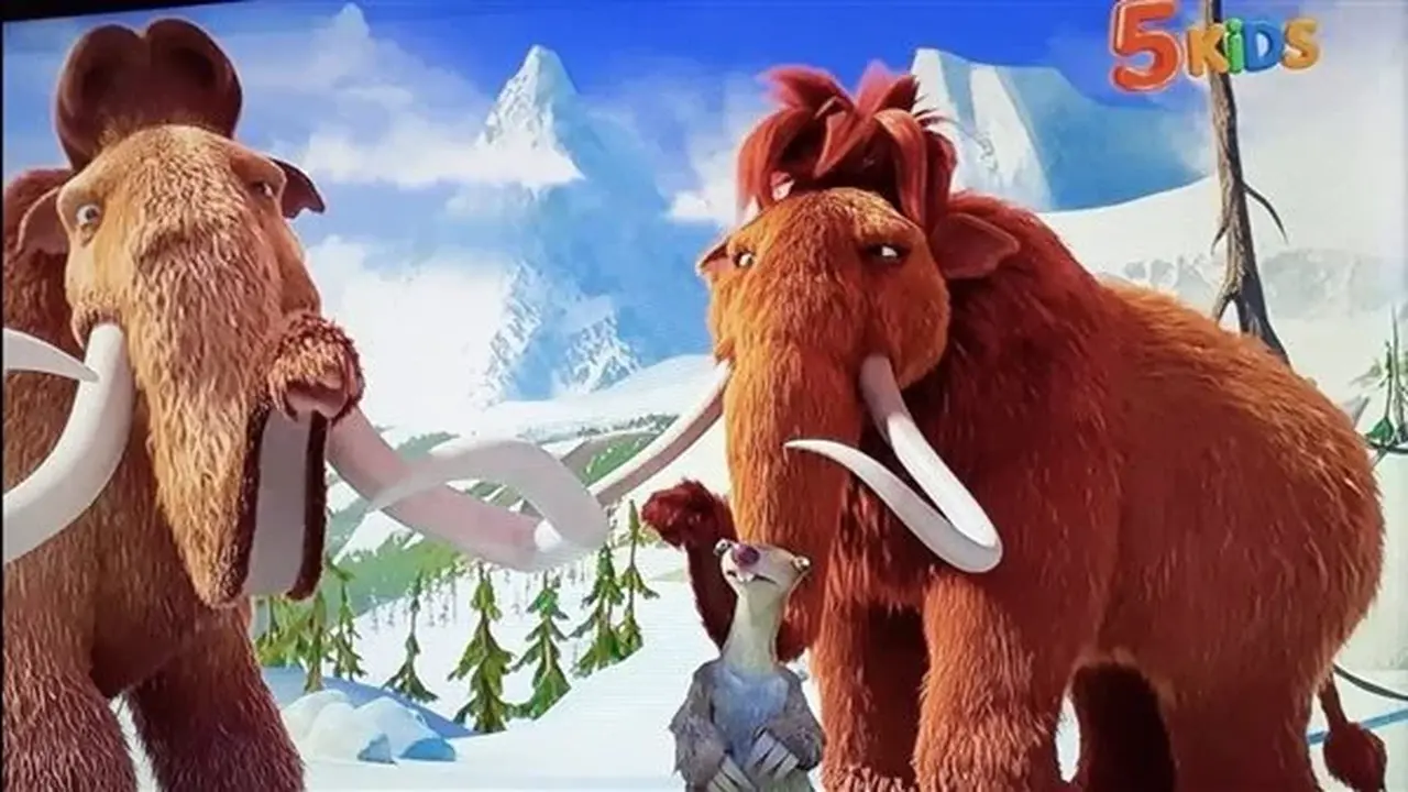 تحديث إشارات تردد قناة 5 Kids عبر قمري نايل سات وعرب سات